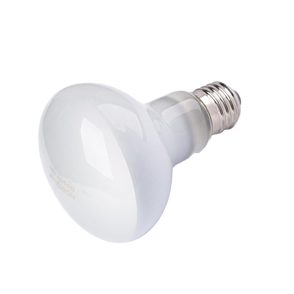 Lizard Heater Temperature Cont - Basking Bulb Halogen のレビューと価格