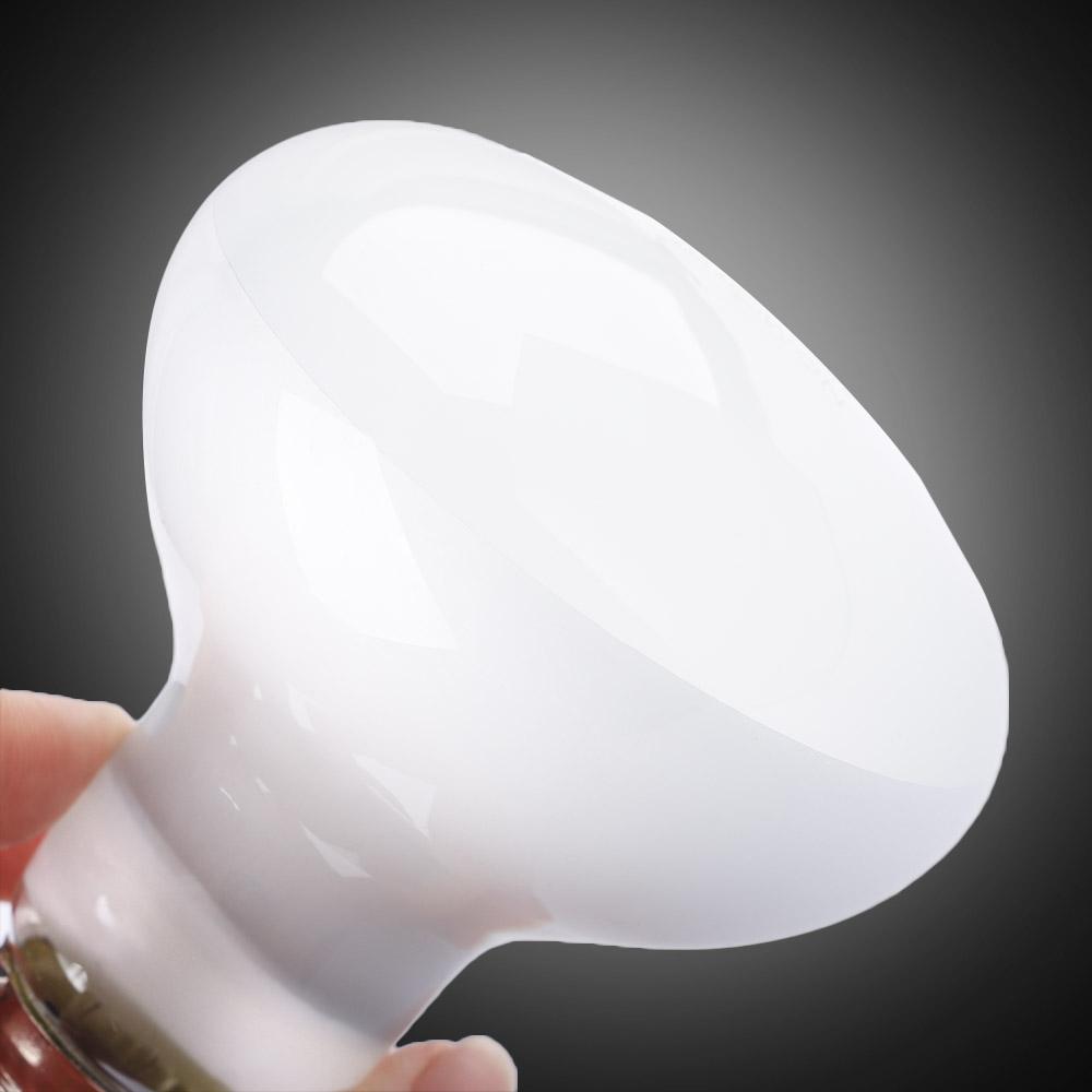 Lizard Heater Temperature Cont - Basking Bulb Halogen のレビューと価格