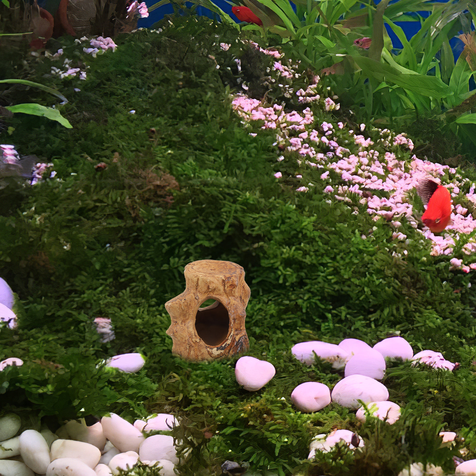 Natural Look Ceramic Fish Tank - Hide Cave Ceramic のレビューと価格
