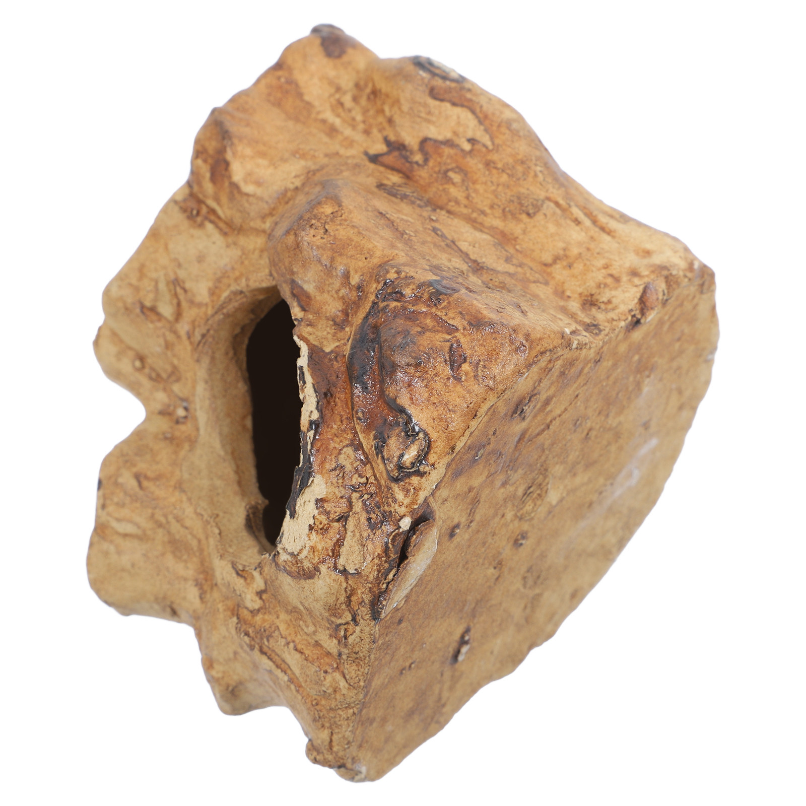 Natural Look Ceramic Fish Tank - Hide Cave Ceramic のレビューと価格