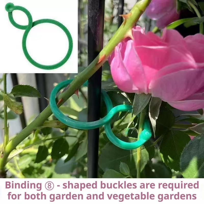 100 Pcs Plant Support Clips He - Vine Climbing Plastic のレビューと価格
