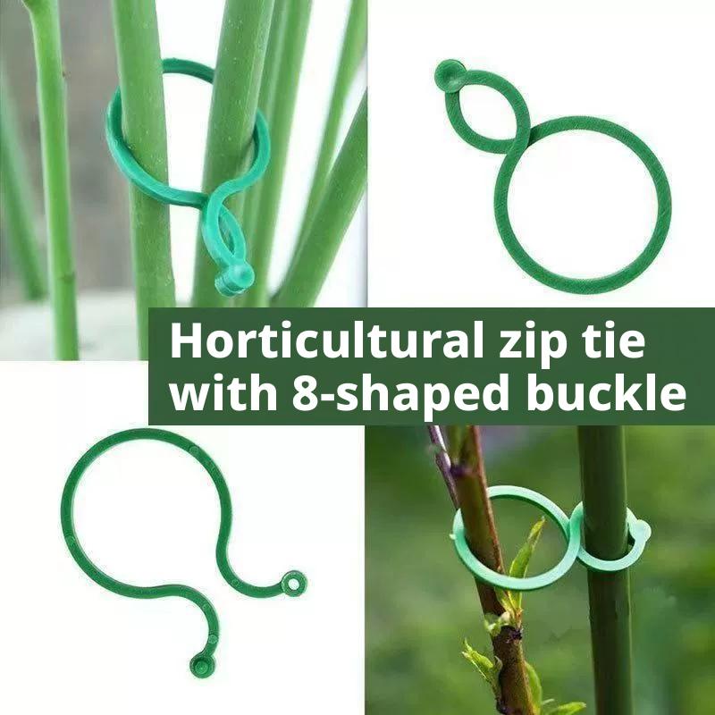 100 Pcs Plant Support Clips He - Vine Climbing Plastic のレビューと価格