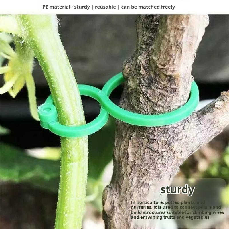 100 Pcs Plant Support Clips He - Vine Climbing Plastic のレビューと価格