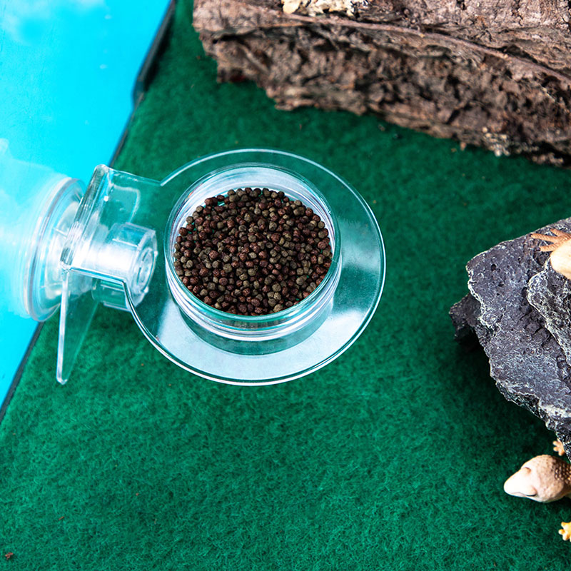 Acrylic Crawling Pet Feeding W - Water Dish Reptile のレビューと価格