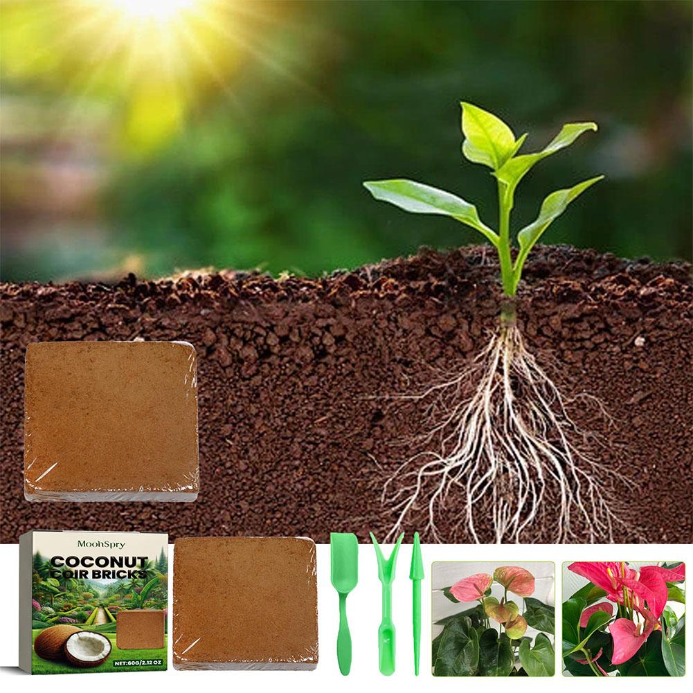 Reptile Coconut Soil Coir Pres - Substrate Coconut Fiber のレビューと価格