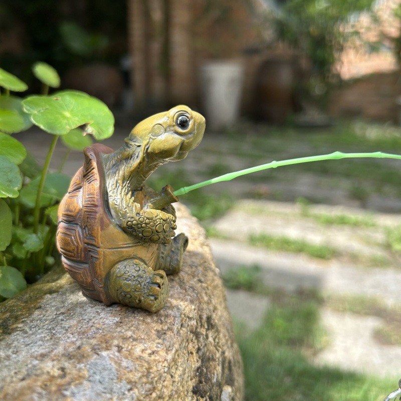 Turtle fishing fish tank aquar - Water Dish Reptile のレビューと価格