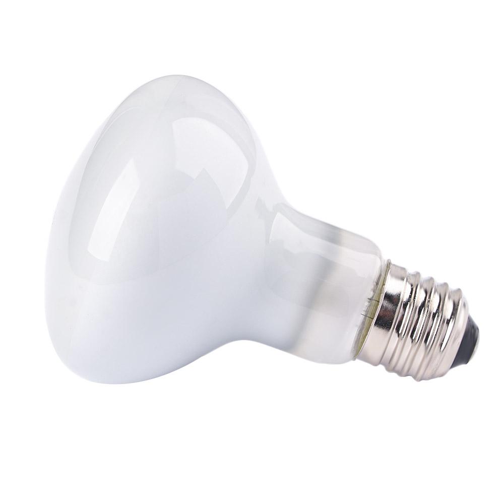 Lizard Temperature Controller  - Basking Bulb Halogen のレビューと価格
