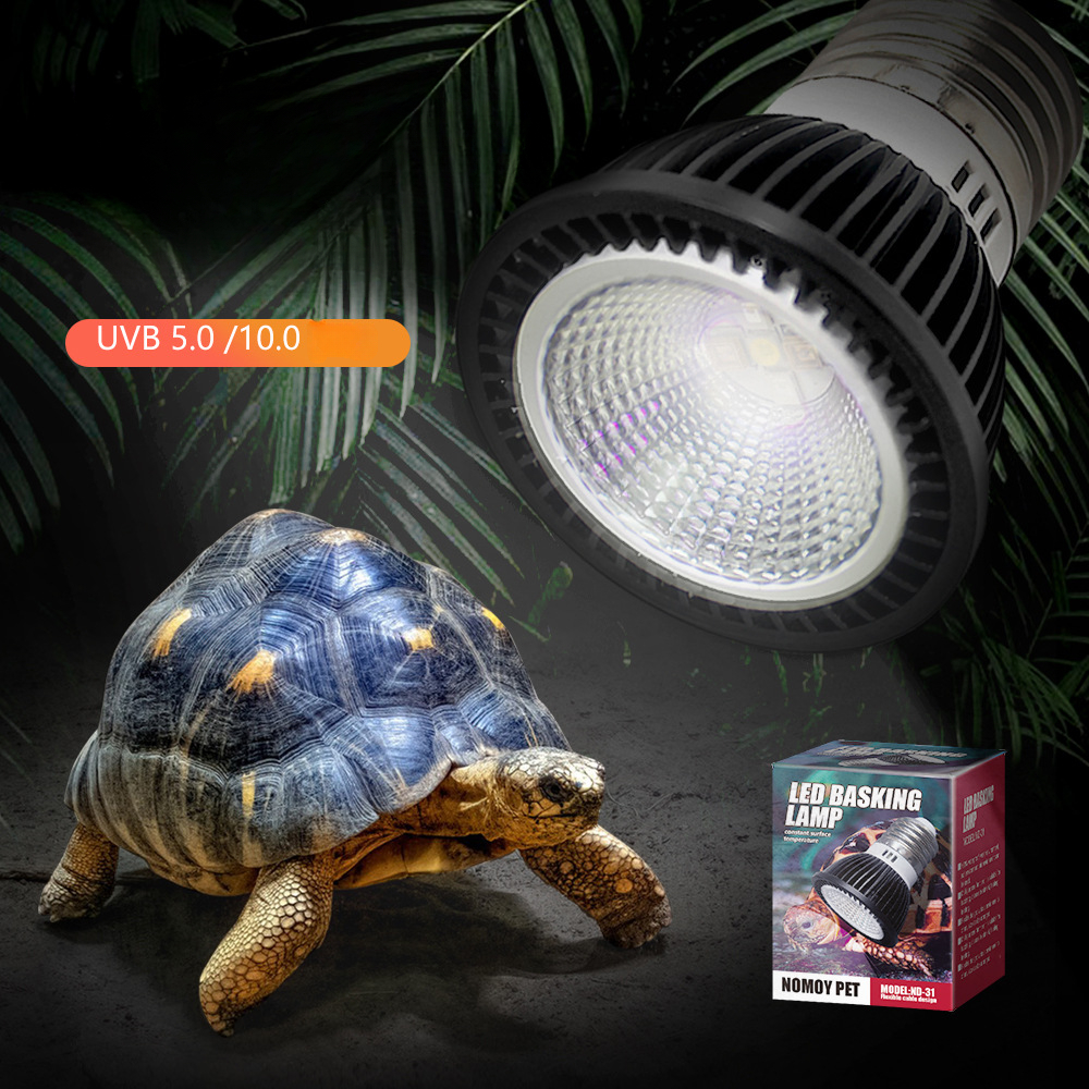 Reptile 110/220V UVB+UVA Light - Calcium Powder Reptile のレビューと価格