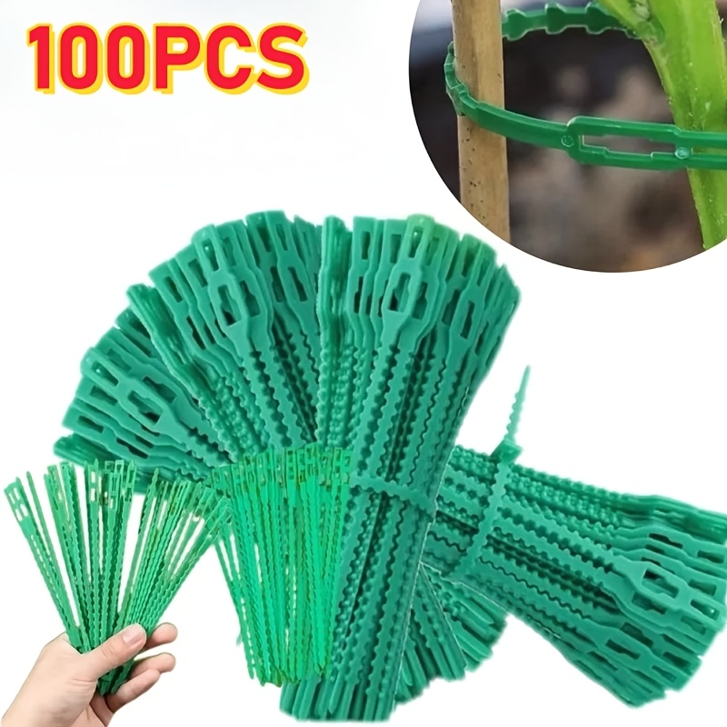 100PCS reusable adjustable pla - Vine Climbing Plastic のレビューと価格
