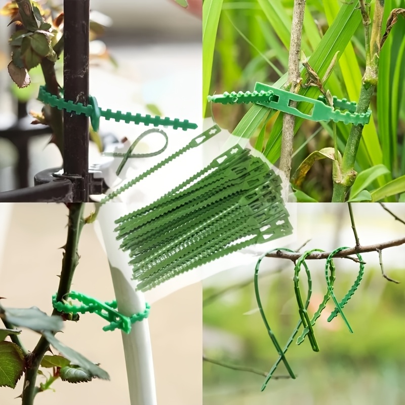 100PCS reusable adjustable pla - Vine Climbing Plastic のレビューと価格