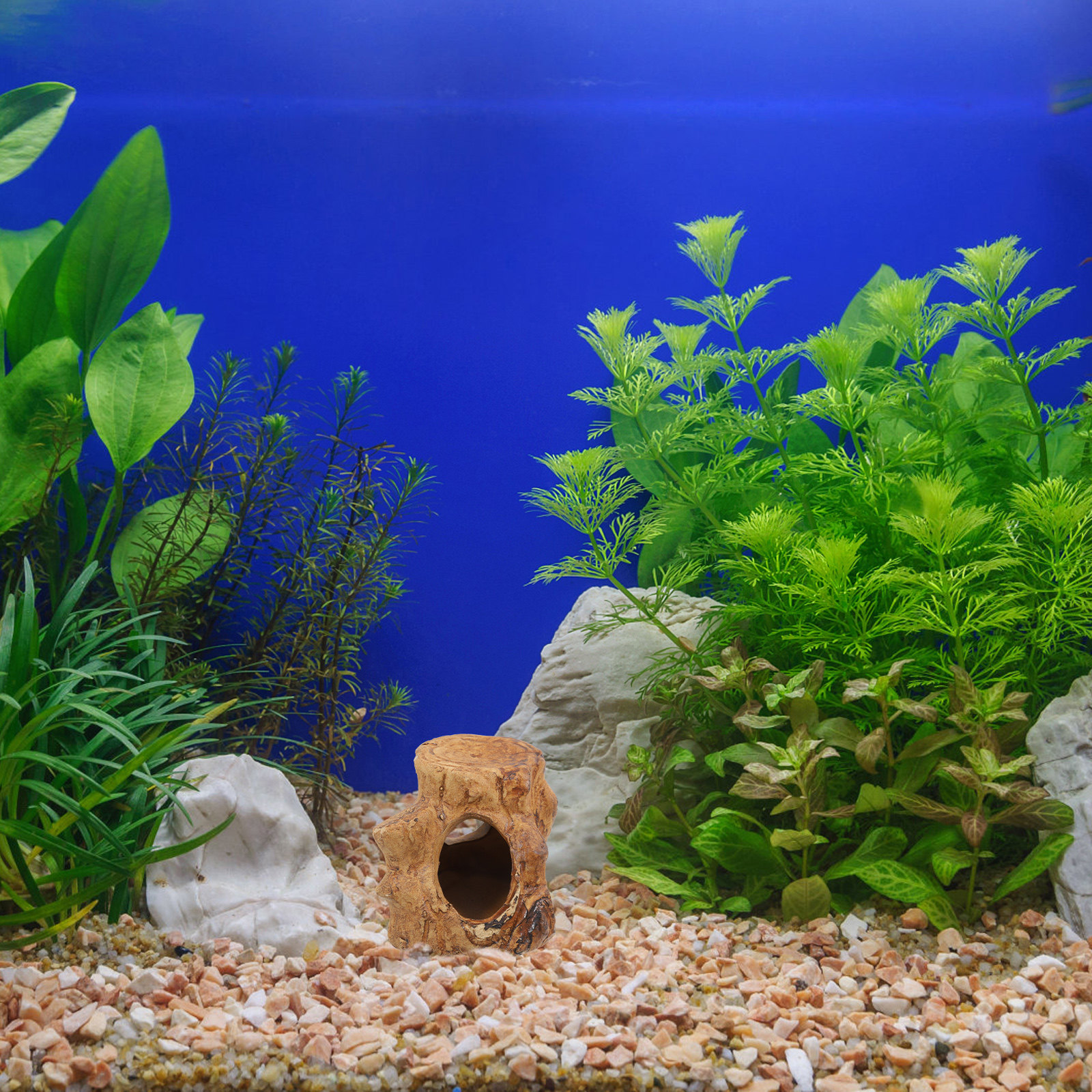 Smooth Ceramic Aquarium Caves  - Hide Cave Ceramic のレビューと価格