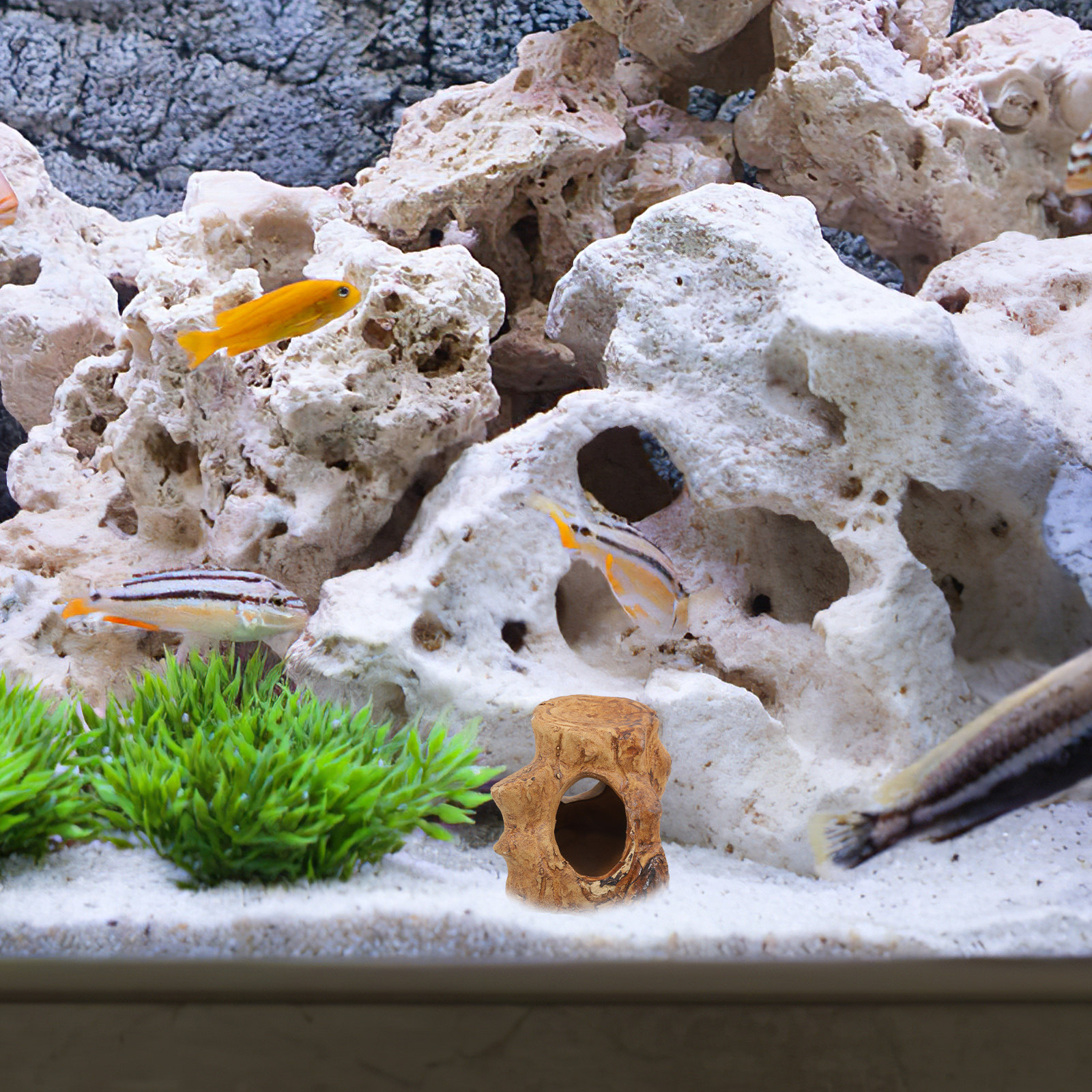 Smooth Ceramic Aquarium Caves  - Hide Cave Ceramic のレビューと価格