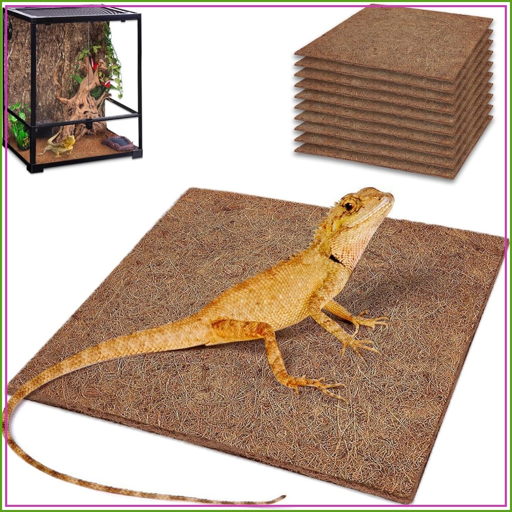10 Pcs Natural Coconut Fiber R - Substrate Coconut Fiber のレビューと価格