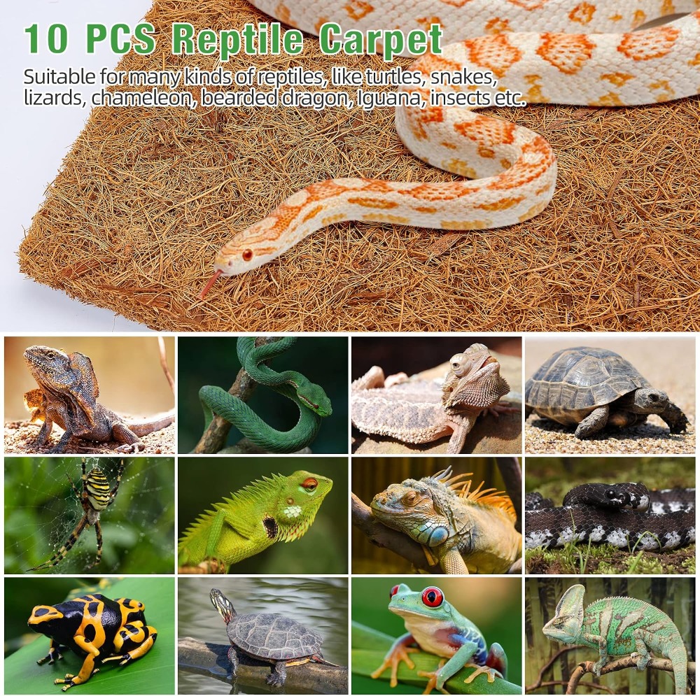 10 Pcs Natural Coconut Fiber R - Substrate Coconut Fiber のレビューと価格