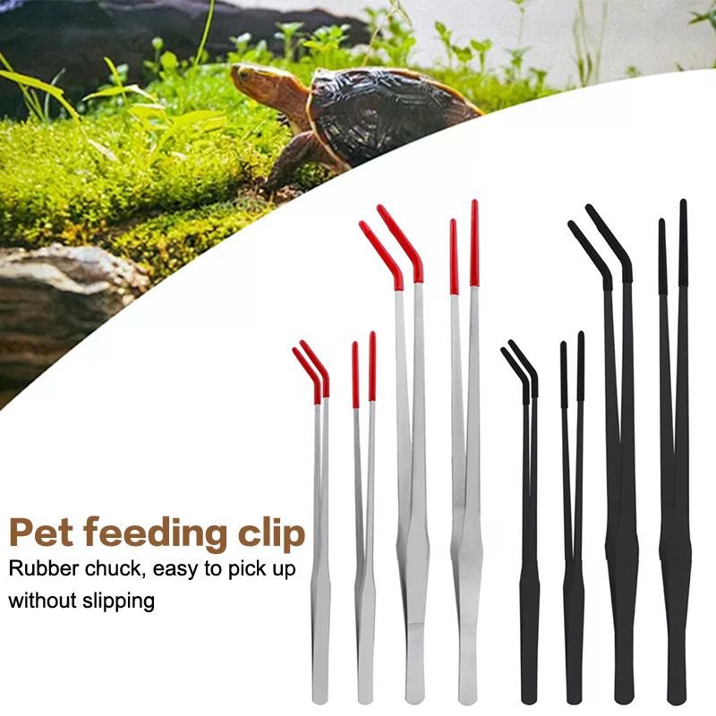 Stainless Steel Reptile Feedin - Feeding Tong Stainless のレビューと価格