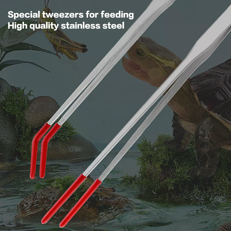 Stainless Steel Reptile Feedin - Feeding Tong Stainless のレビューと価格