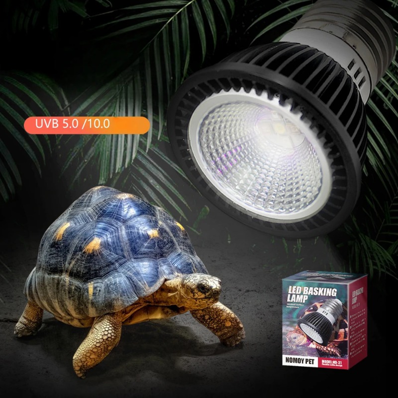 NOMOY Reptile 110/220V UVB+UVA - Calcium Powder Reptile のレビューと価格