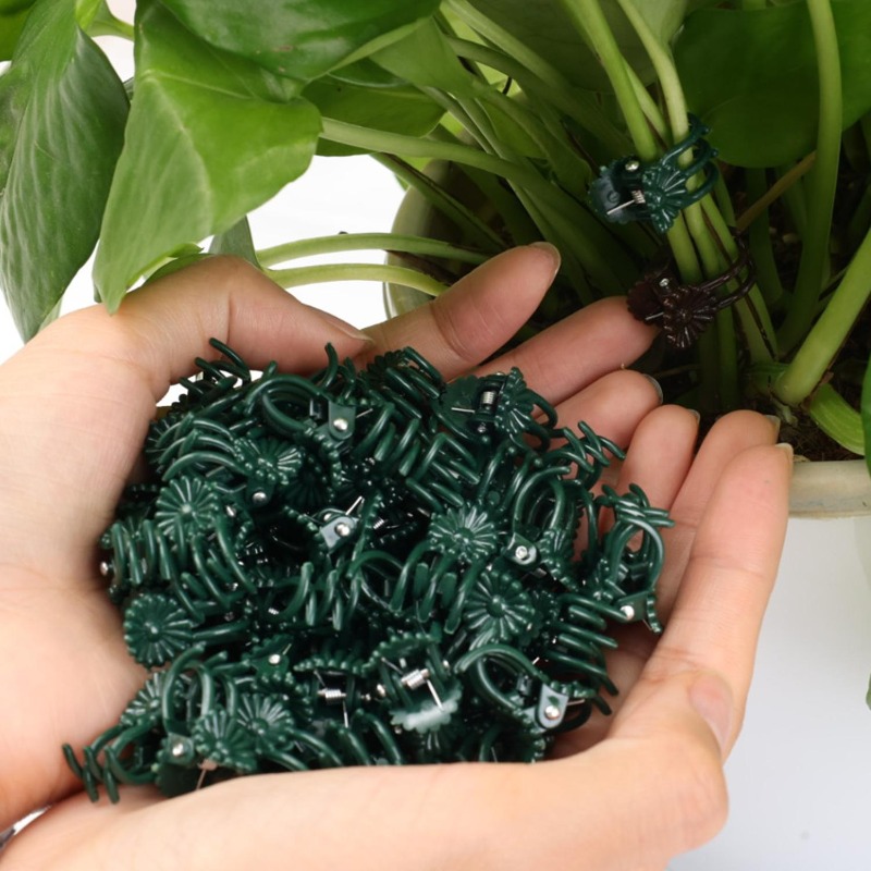 Wholesale Mini Plant Support C - Vine Climbing Plastic のレビューと価格