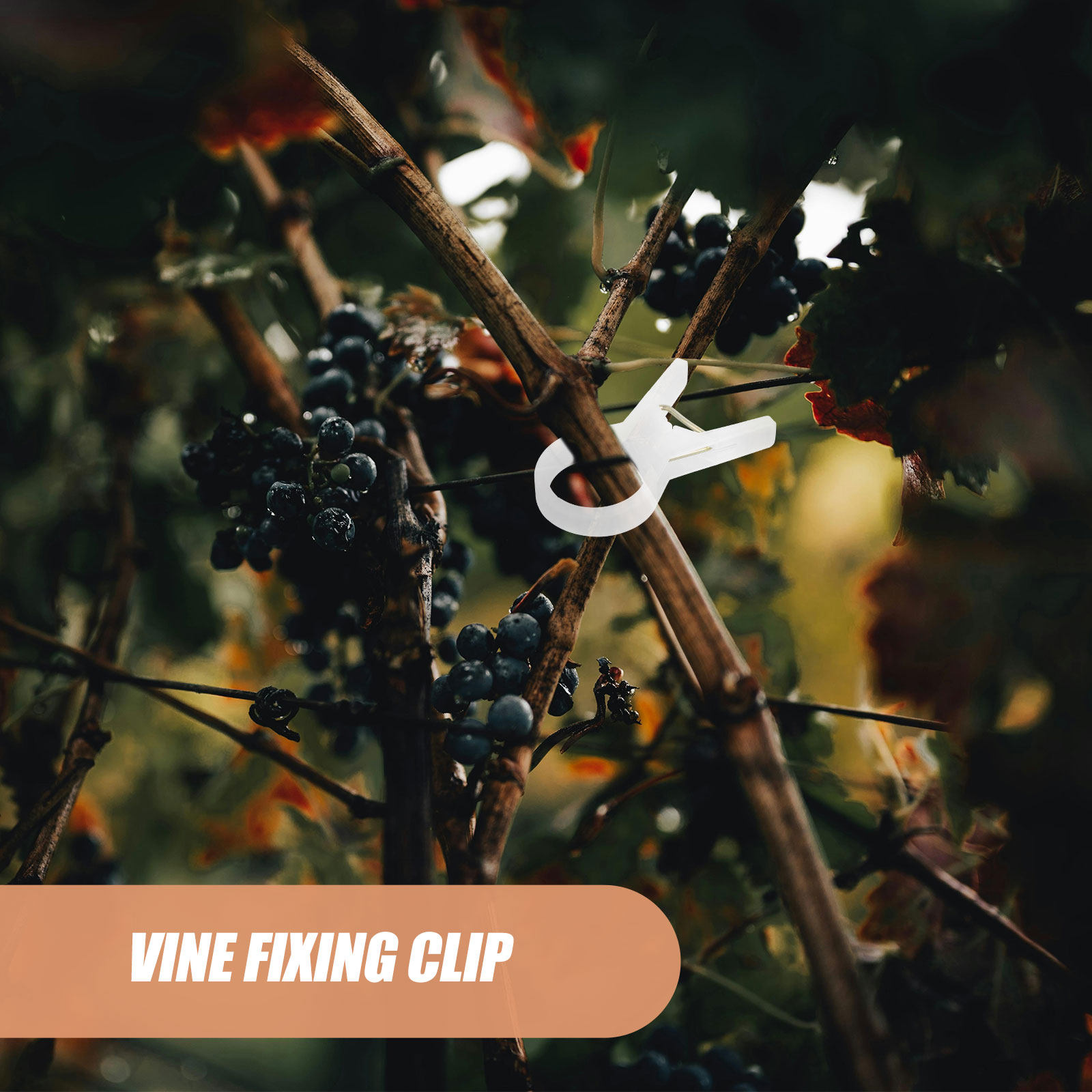 100Pcs Plant Support Clips Pla - Vine Climbing Plastic のレビューと価格
