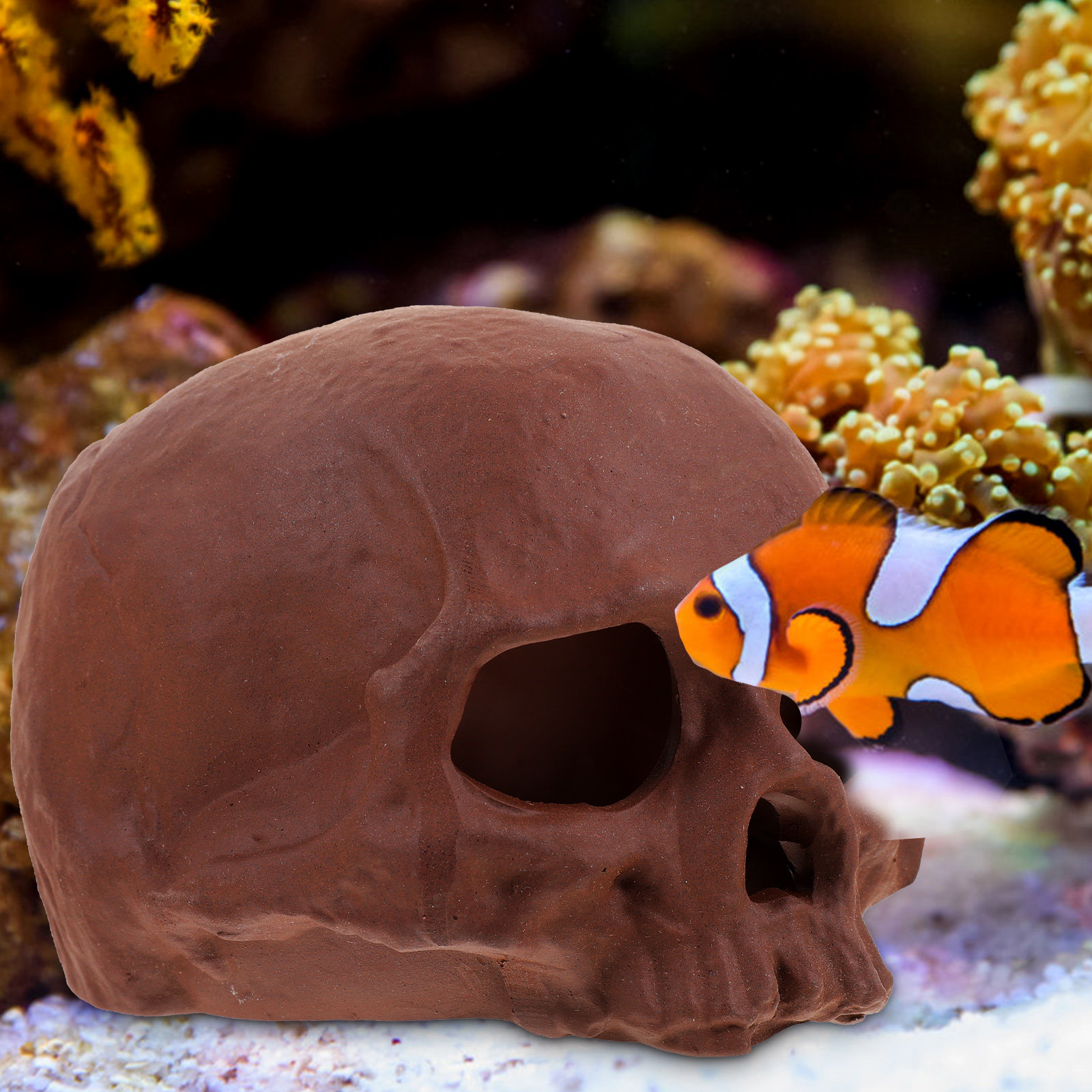 Ceramic Fish Tank Decoration S - Hide Cave Ceramic のレビューと価格