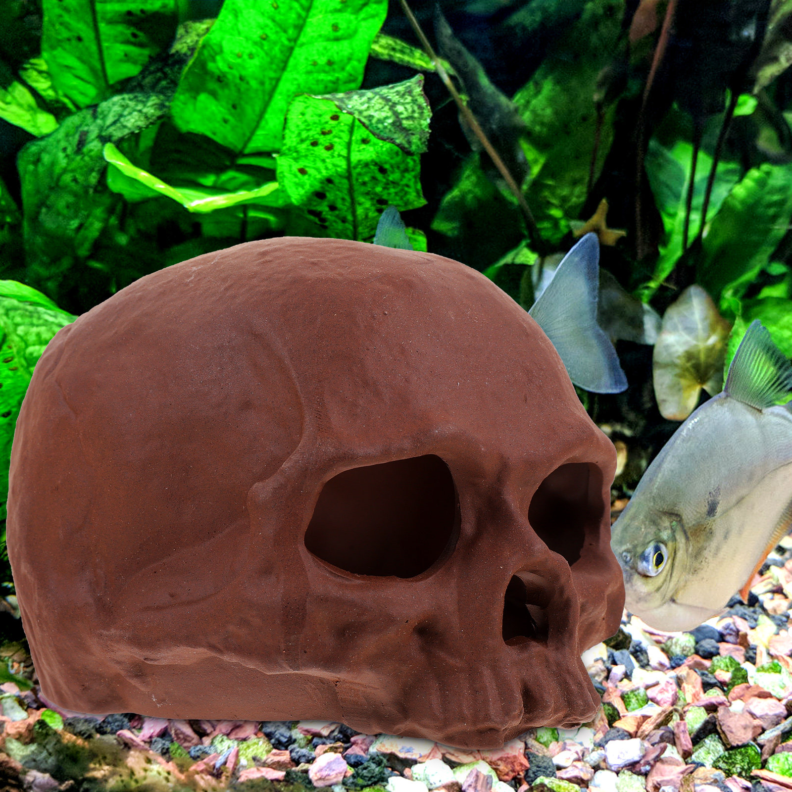 Ceramic Fish Tank Decoration S - Hide Cave Ceramic のレビューと価格
