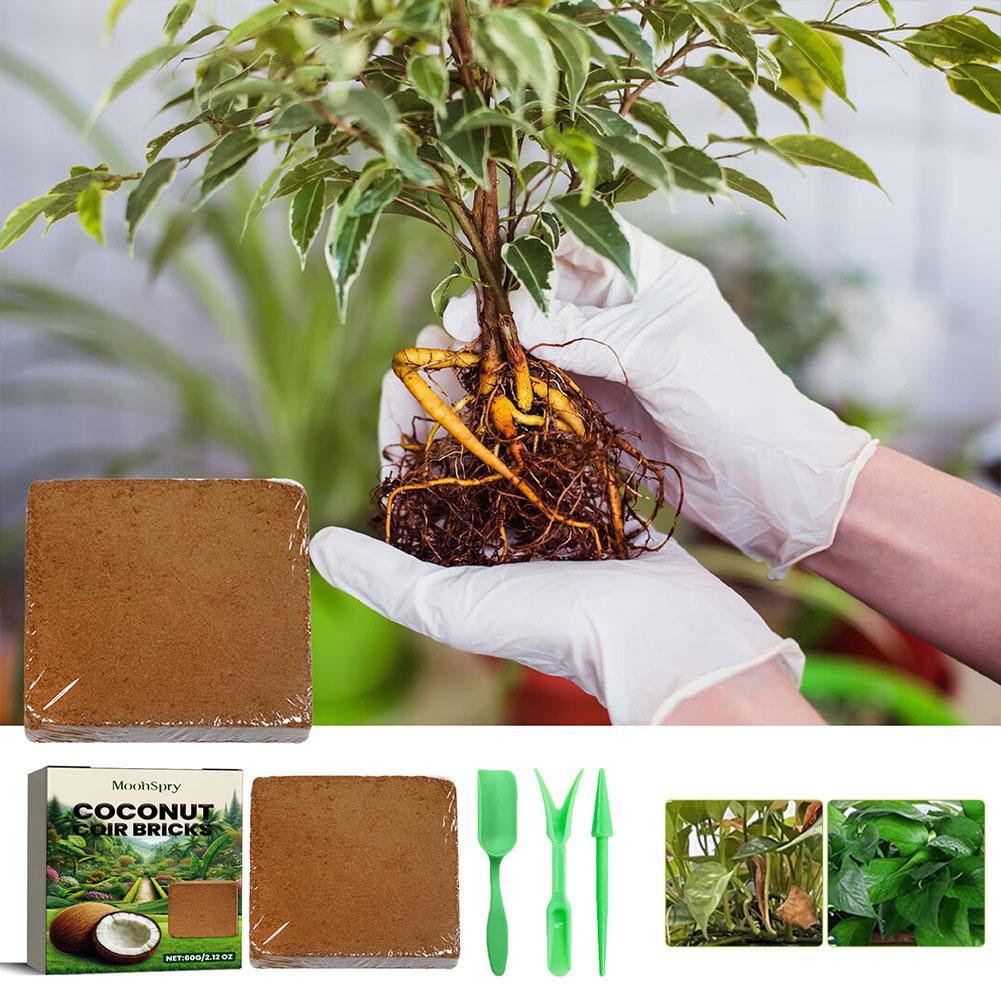 Coconut Coir Fiber Brick - Org - Substrate Coconut Fiber のレビューと価格