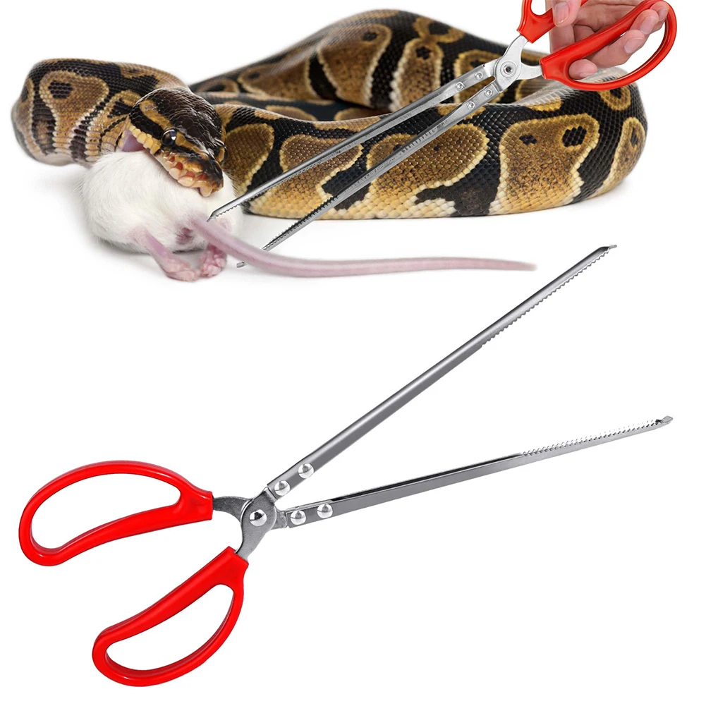 Snake Feeding Tongs Reptile Fe - Water Dish Reptile のレビューと価格