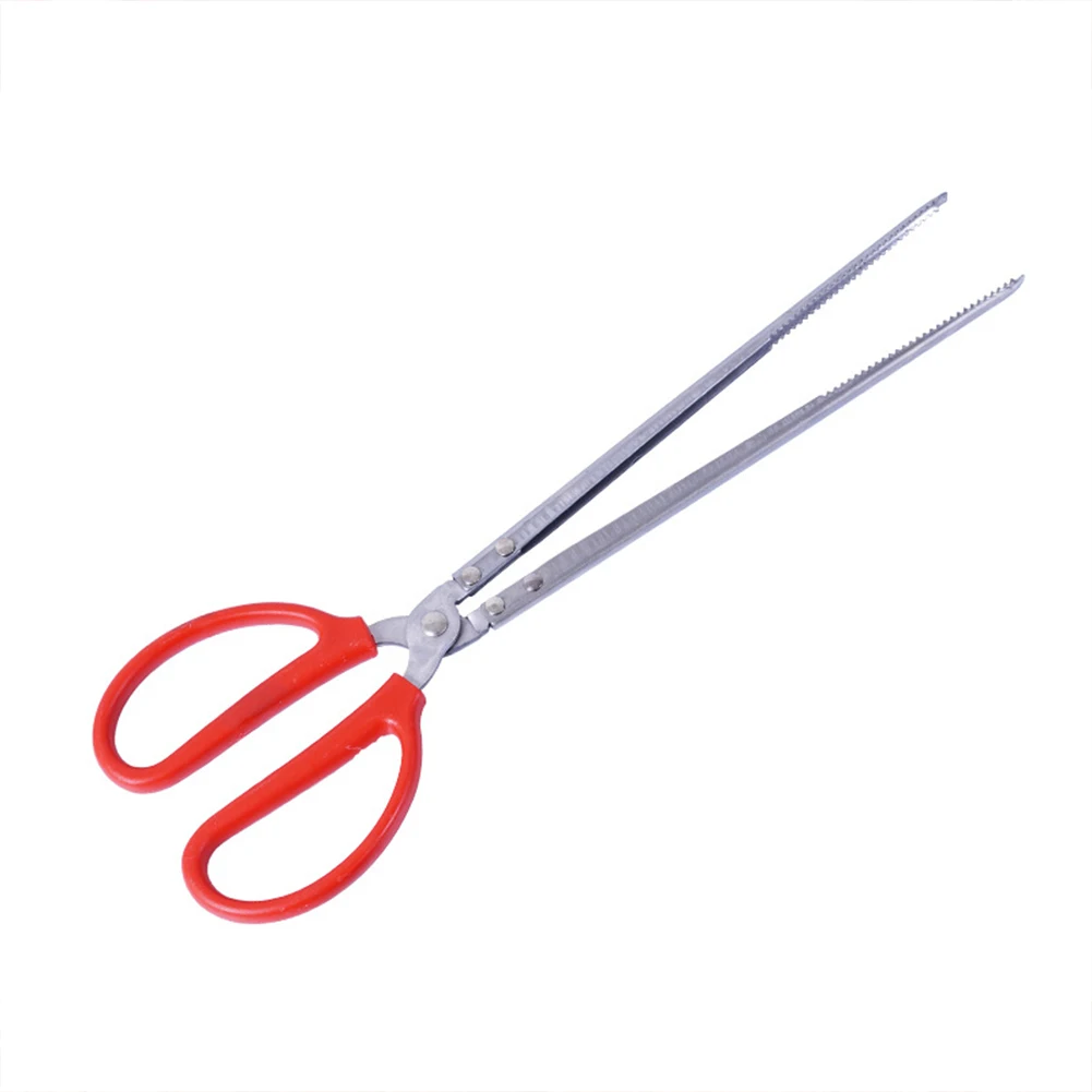 Snake Feeding Tongs Reptile Fe - Water Dish Reptile のレビューと価格