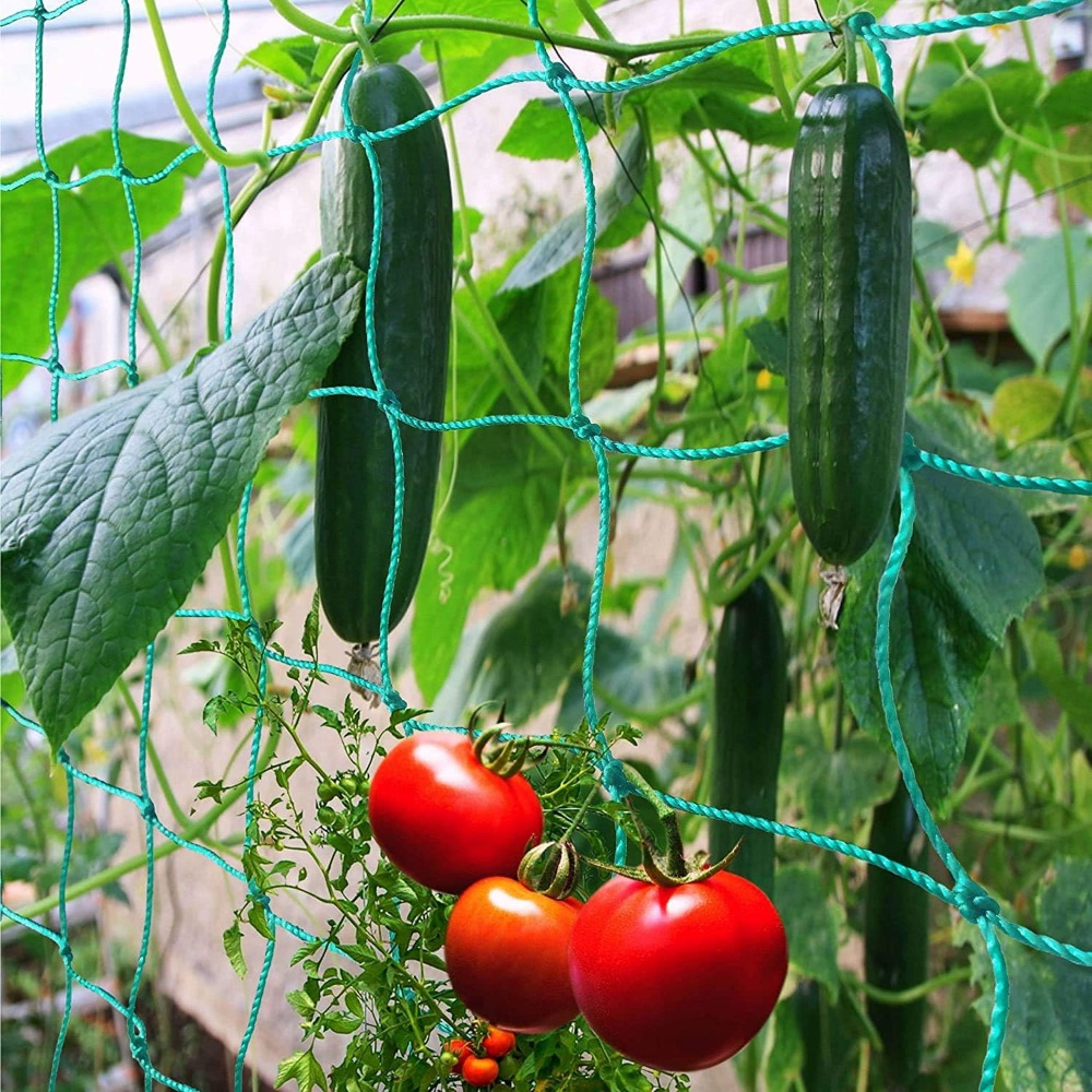 1pc Trellis Netting, Portable  - Vine Climbing Plastic のレビューと価格