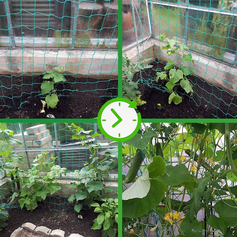 1pc Trellis Netting, Portable  - Vine Climbing Plastic のレビューと価格