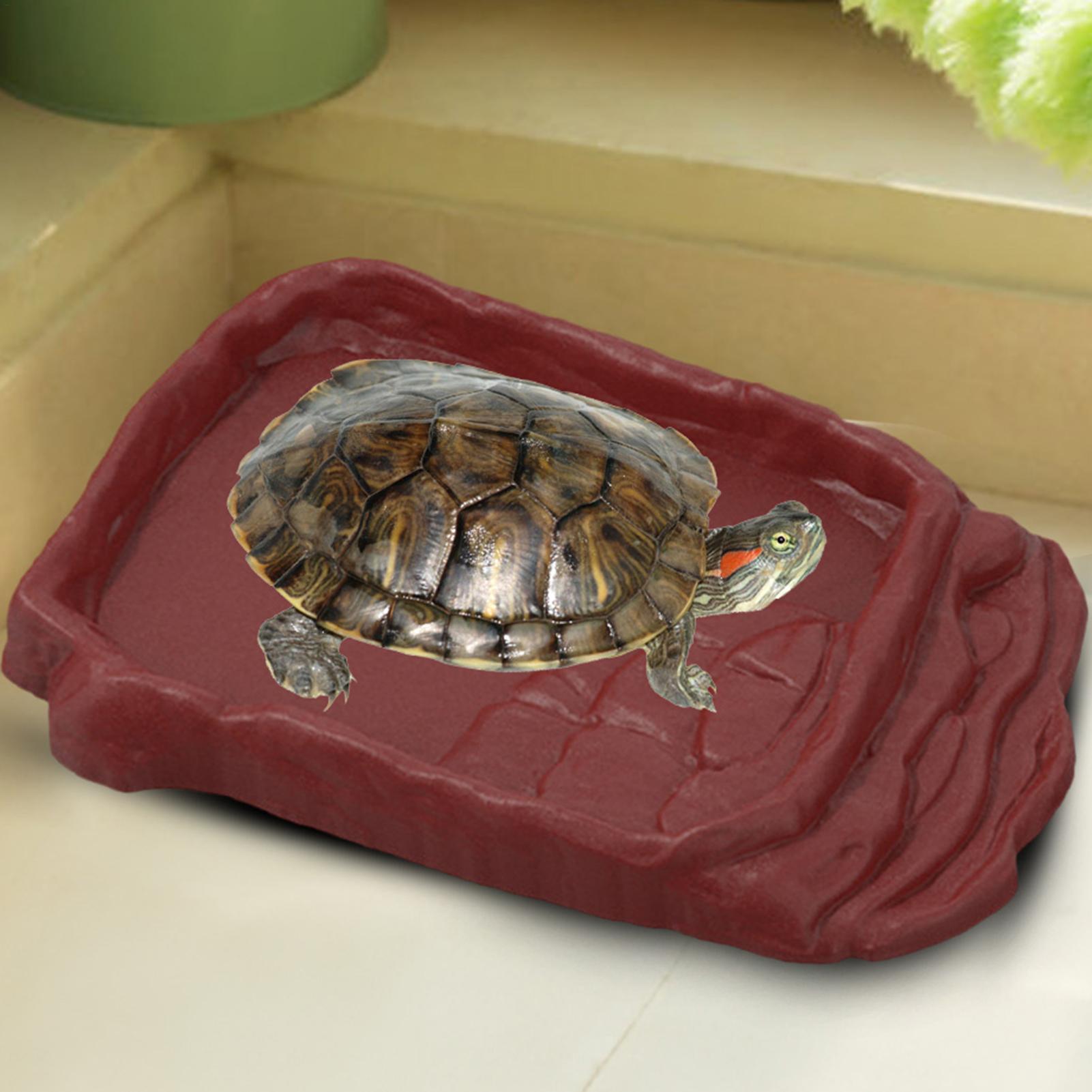 Turtle Water Dish With Anti-Sl - Water Dish Reptile のレビューと価格