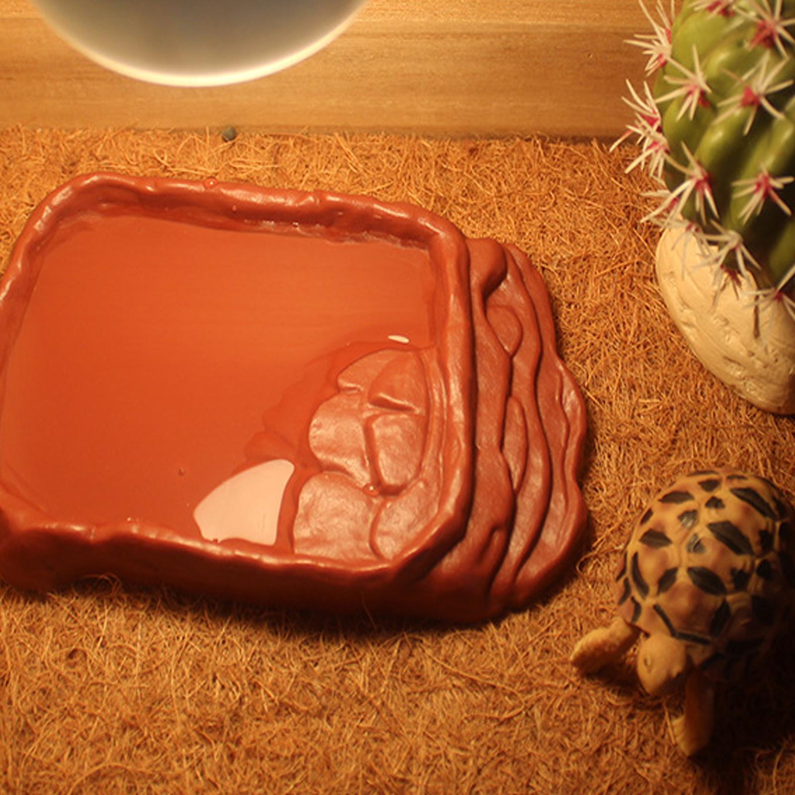 Turtle Water Dish With Anti-Sl - Water Dish Reptile のレビューと価格