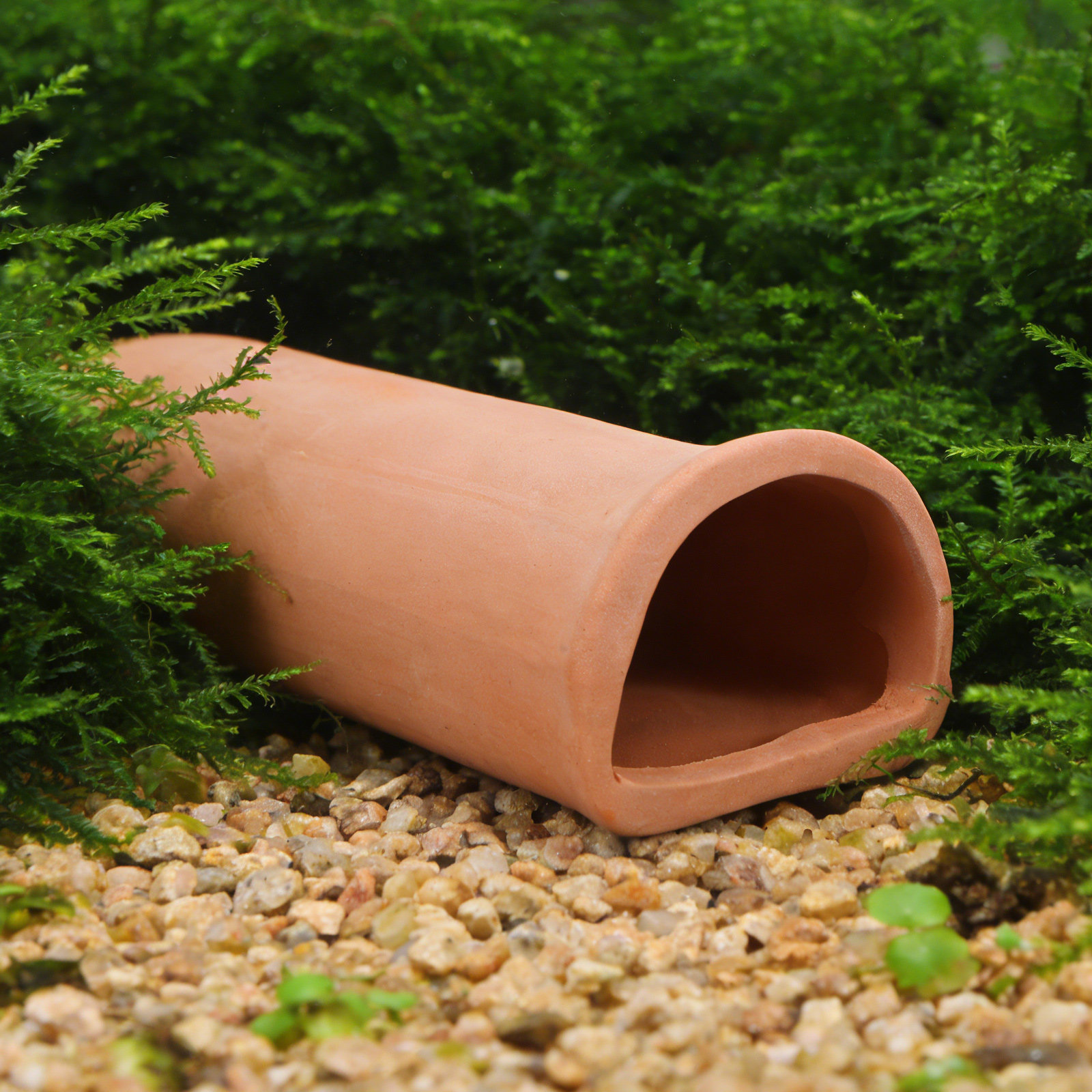 2 Pcs Fish Tank Ceramic Cave A - Hide Cave Ceramic のレビューと価格