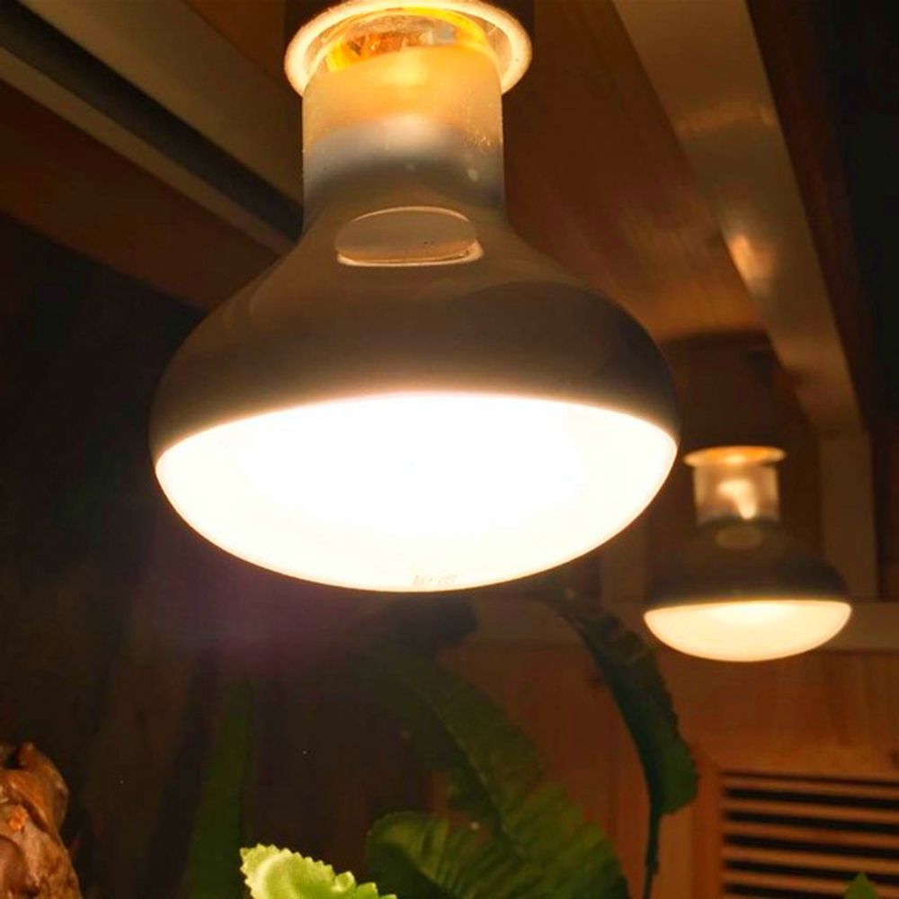Turtle Heater Temperature Cont - Basking Bulb Halogen のレビューと価格