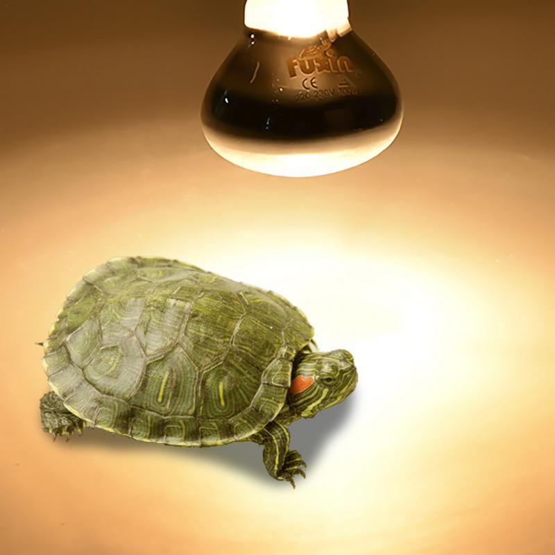 Pet Heating Lamp E27 Day Night - Ceramic Heat Emitter のレビューと価格