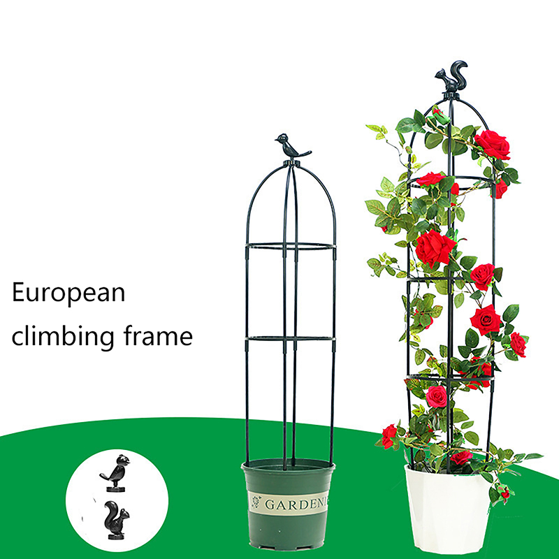 C 1Set Climbing Plant Trellis  - Vine Climbing Plastic のレビューと価格