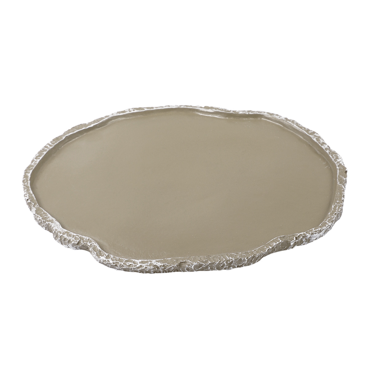 Pets Feeding Plate Reptile Fee - Water Dish Reptile のレビューと価格