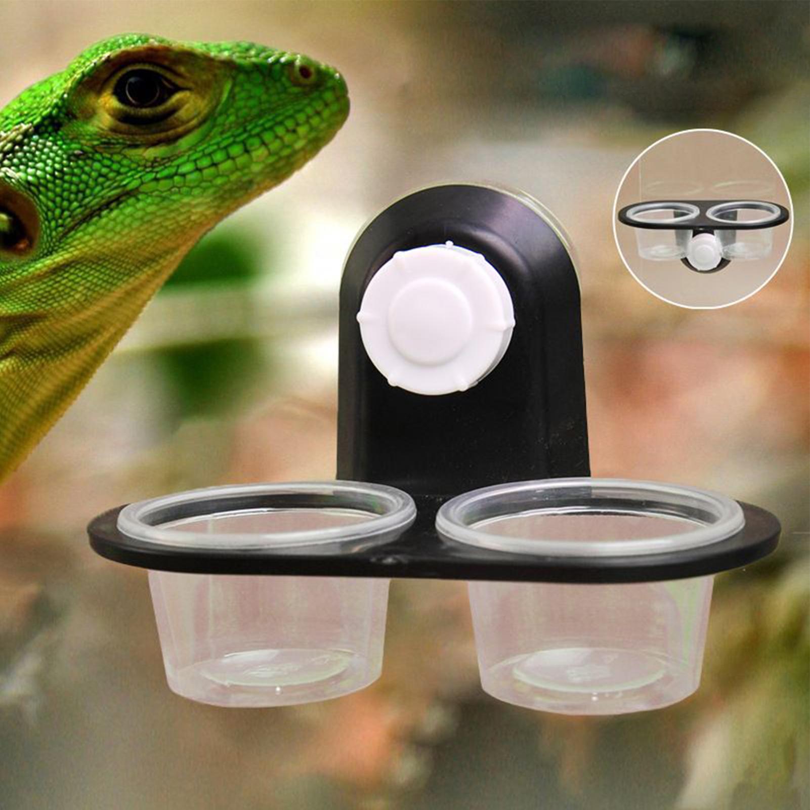 Gecko Food Dish Gecko Feeding  - Water Dish Reptile のレビューと価格