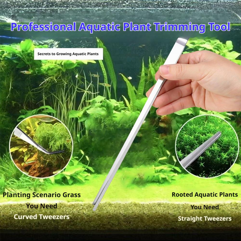 Stainless Steel Aquarium Tweez - Feeding Tong Stainless のレビューと価格