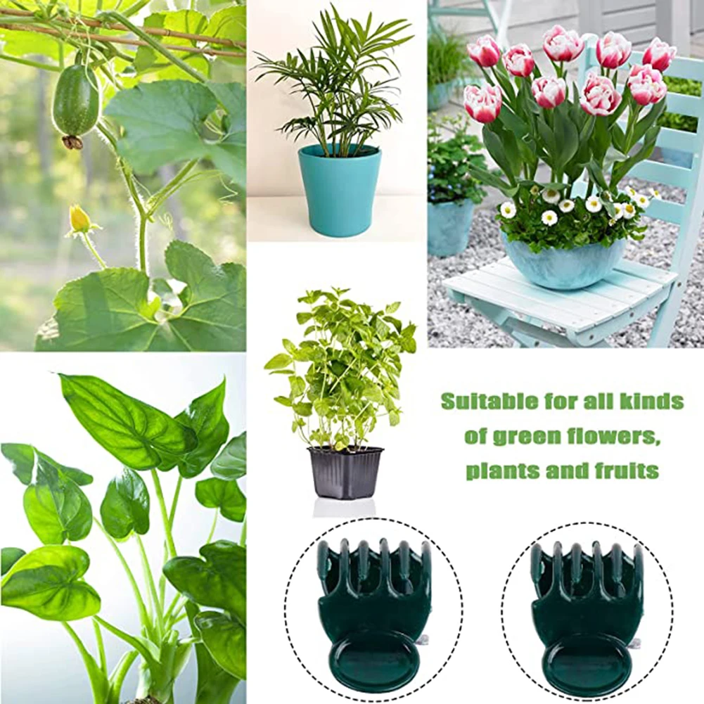 Phalaenopsis Orchid Support Cl - Vine Climbing Plastic のレビューと価格