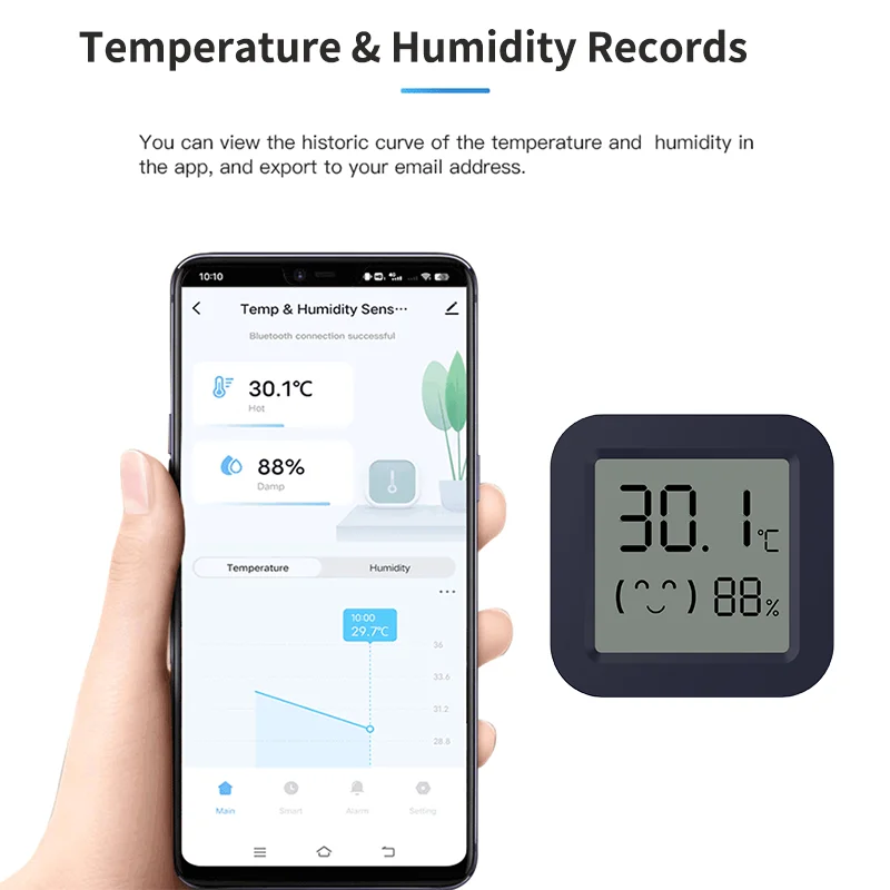 Mini Smart Thermometer Hygrome - Digital Hygrometer Probe のレビューと価格