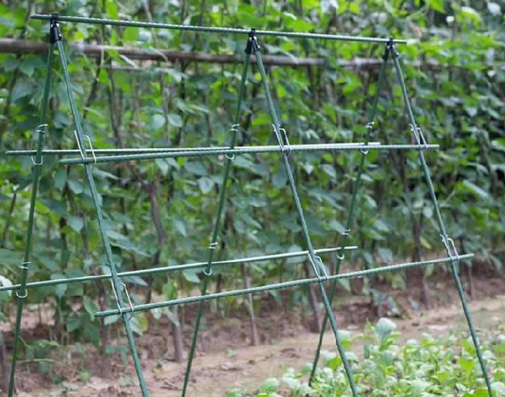 Diameter 8/11/16mm Plant Suppo - Vine Climbing Plastic のレビューと価格