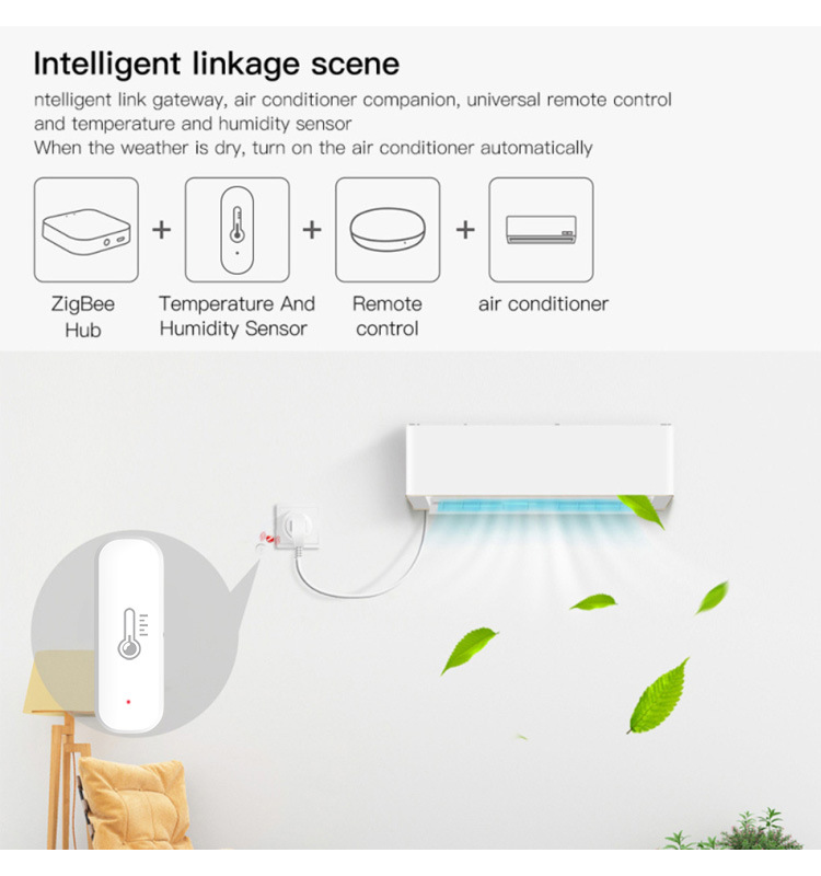 eWeLink Smart ZigBee Temperatu - Digital Hygrometer Probe のレビューと価格