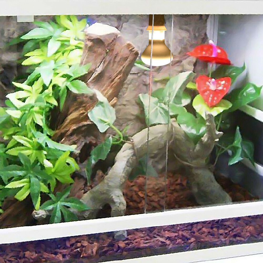 Turtle Temperature Controller  - Basking Bulb Halogen のレビューと価格