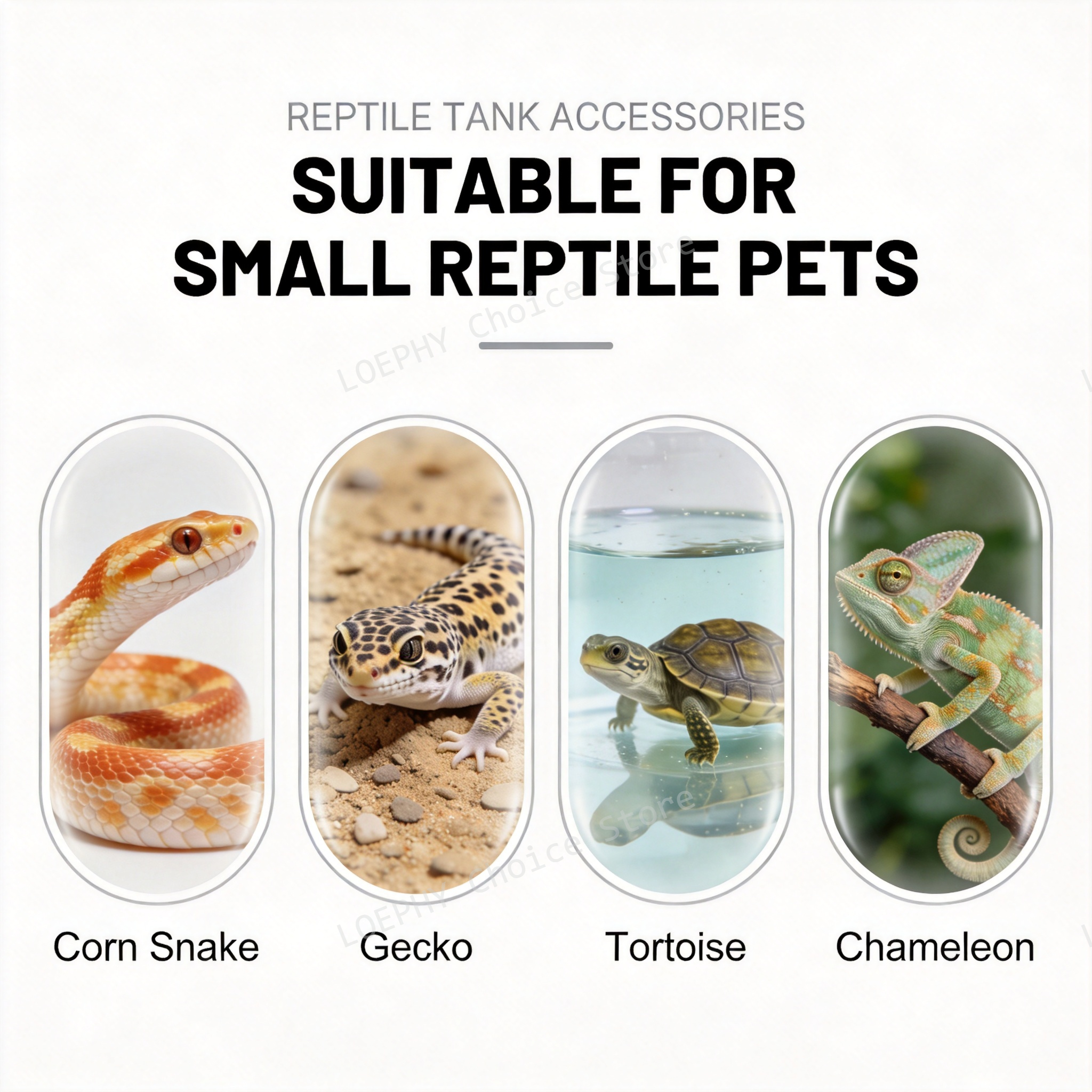 Castle Reptile Water Bowl Lion - Water Dish Reptile のレビューと価格