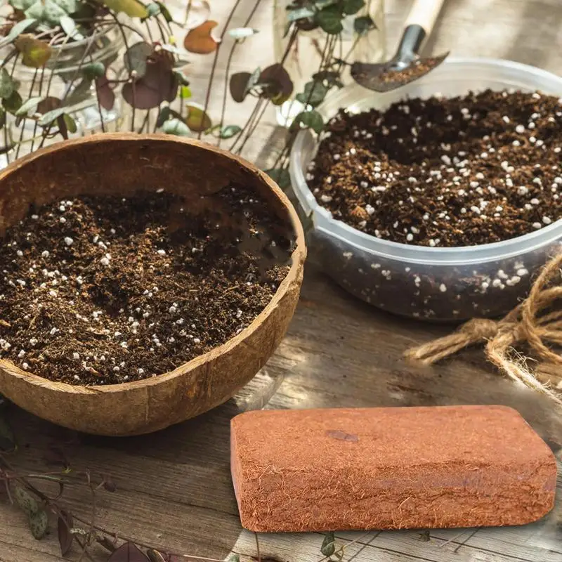 Reptile Coconut Soil Natural C - Substrate Coconut Fiber のレビューと価格