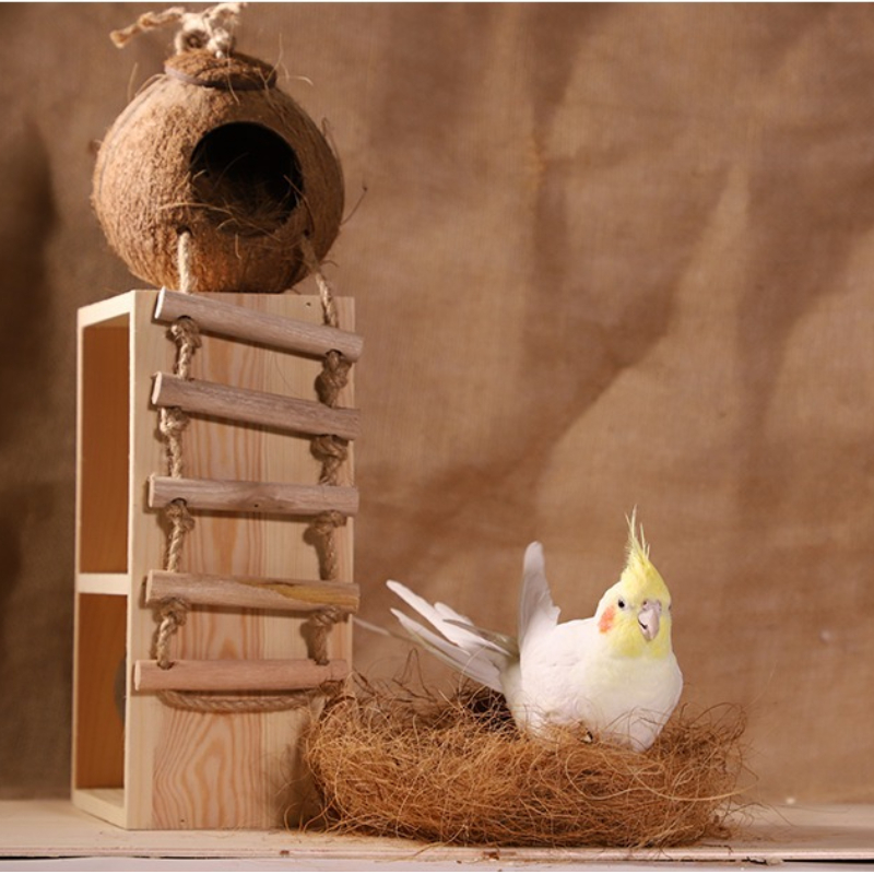 100g Finch Coconut Fiber Loose - Substrate Coconut Fiber のレビューと価格