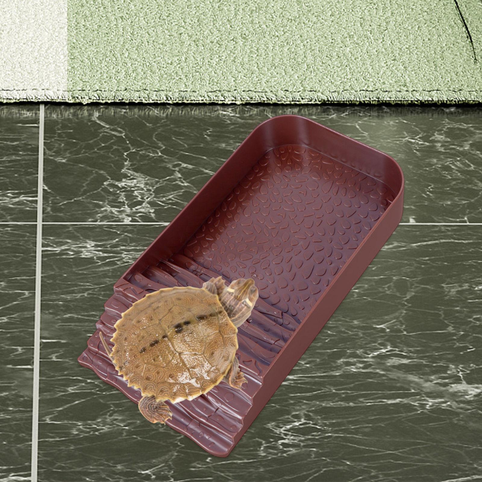 Reptile Water Bowl Accessories - Water Dish Reptile のレビューと価格