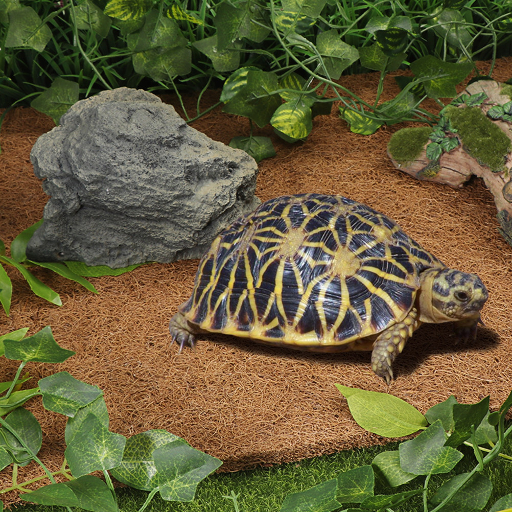 Natural Coconut Fiber Reptile  - Substrate Coconut Fiber のレビューと価格