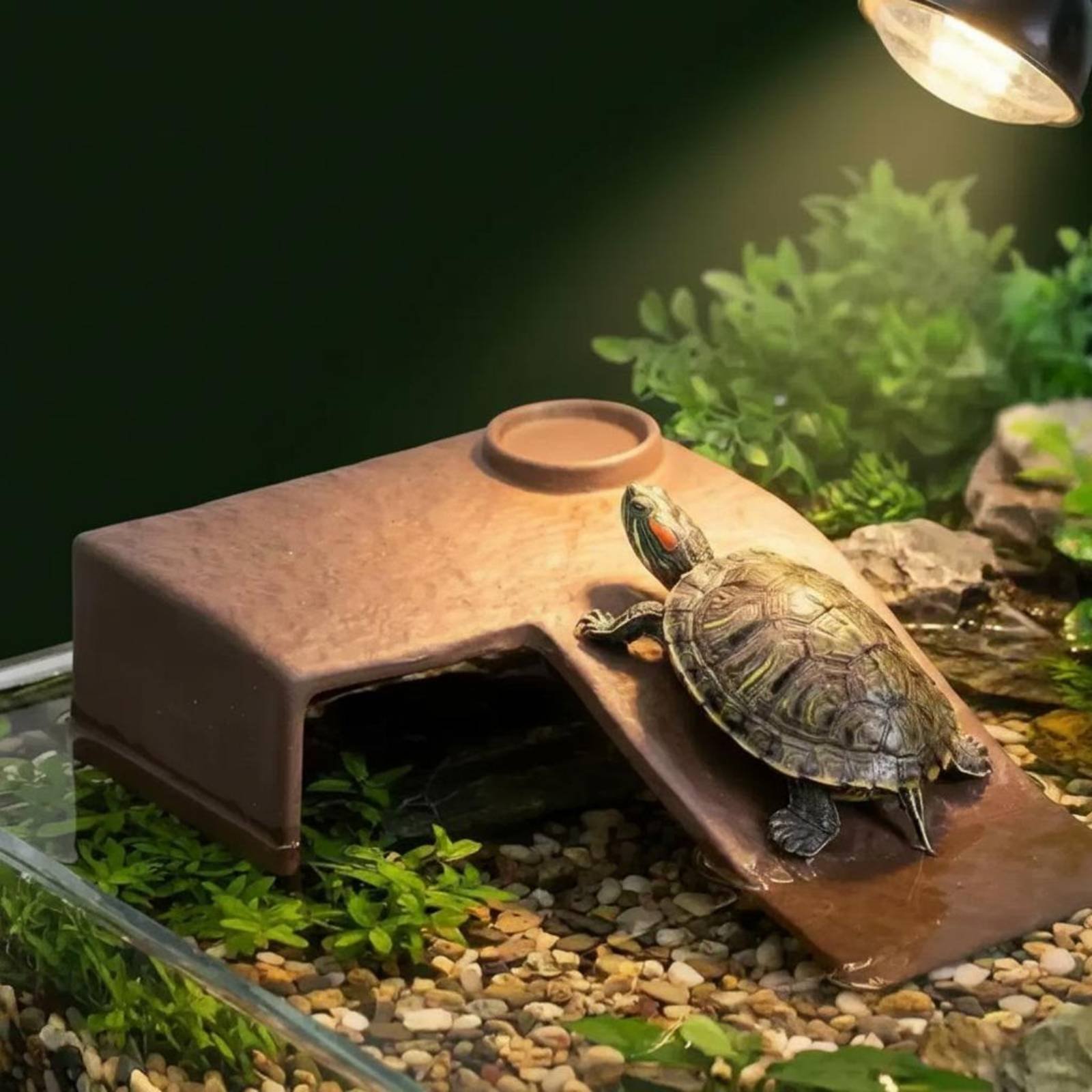2 Pieces Turtle Basking Dock E - Hide Cave Ceramic のレビューと価格
